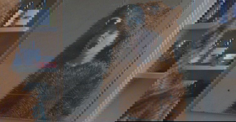 ΣΤΟ ΣΥΜΠΑΝ ΤΩΝ ΠΑΙΔΙΩΝ