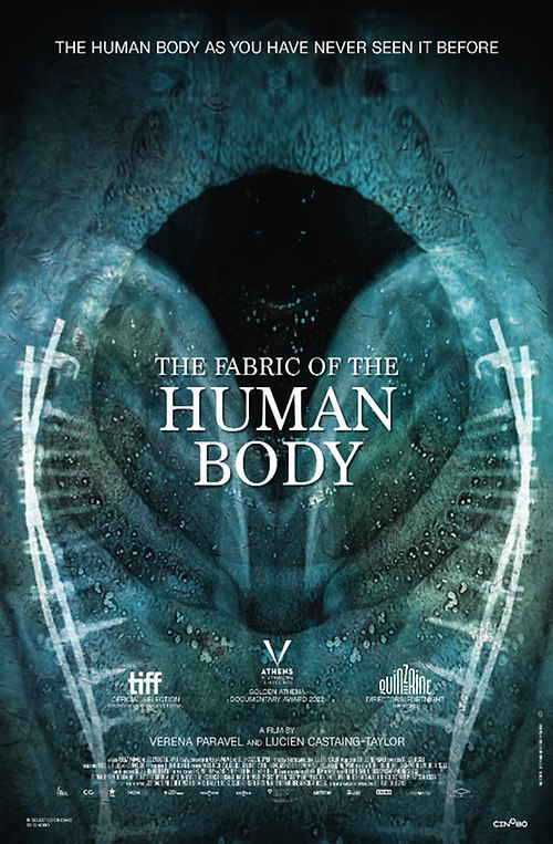The Fabric of the Human Body