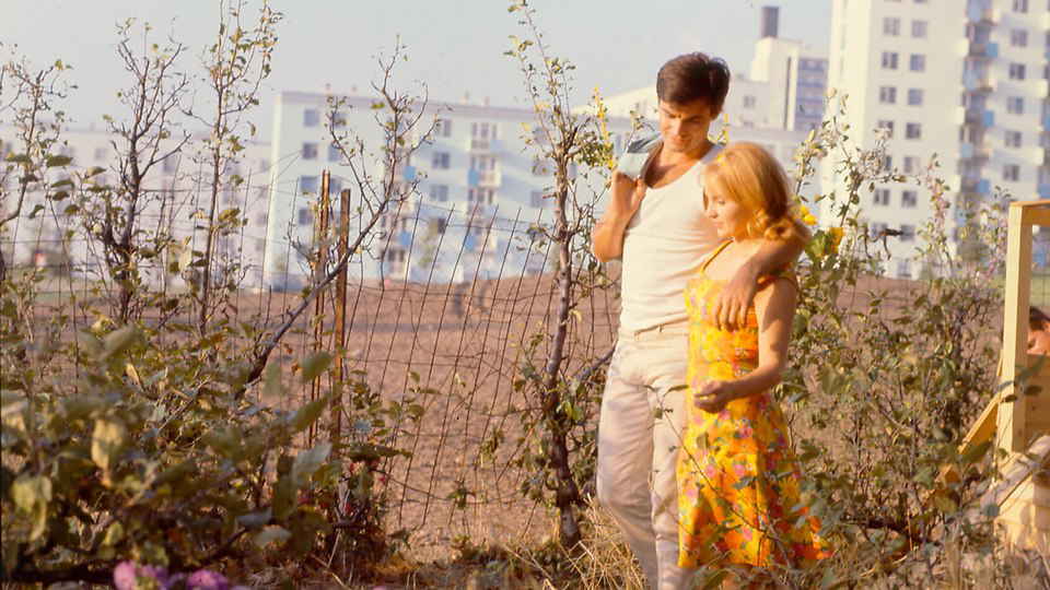 Le Bonheur
