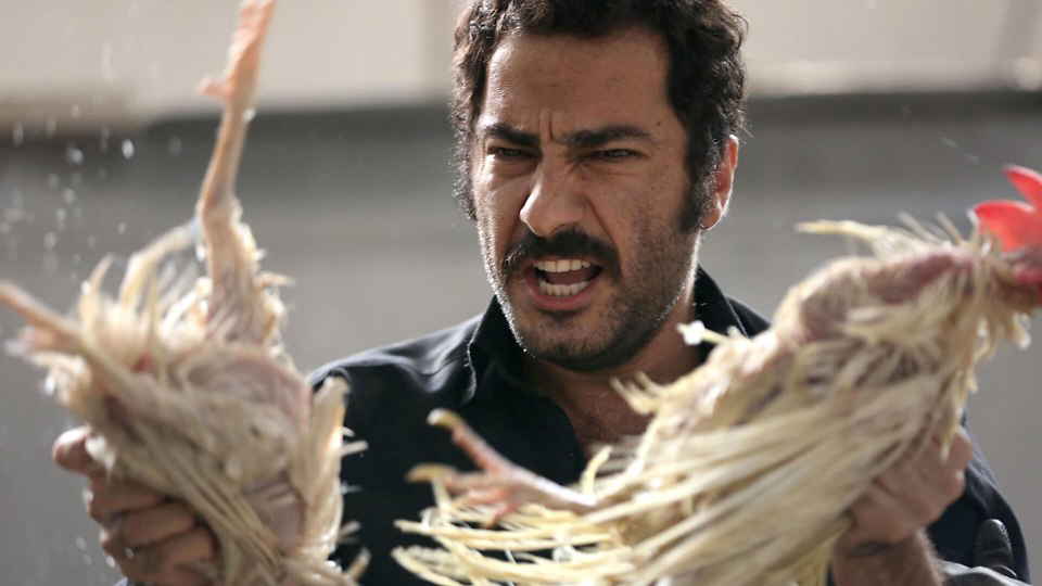 Περίπτωση Συνείδησης