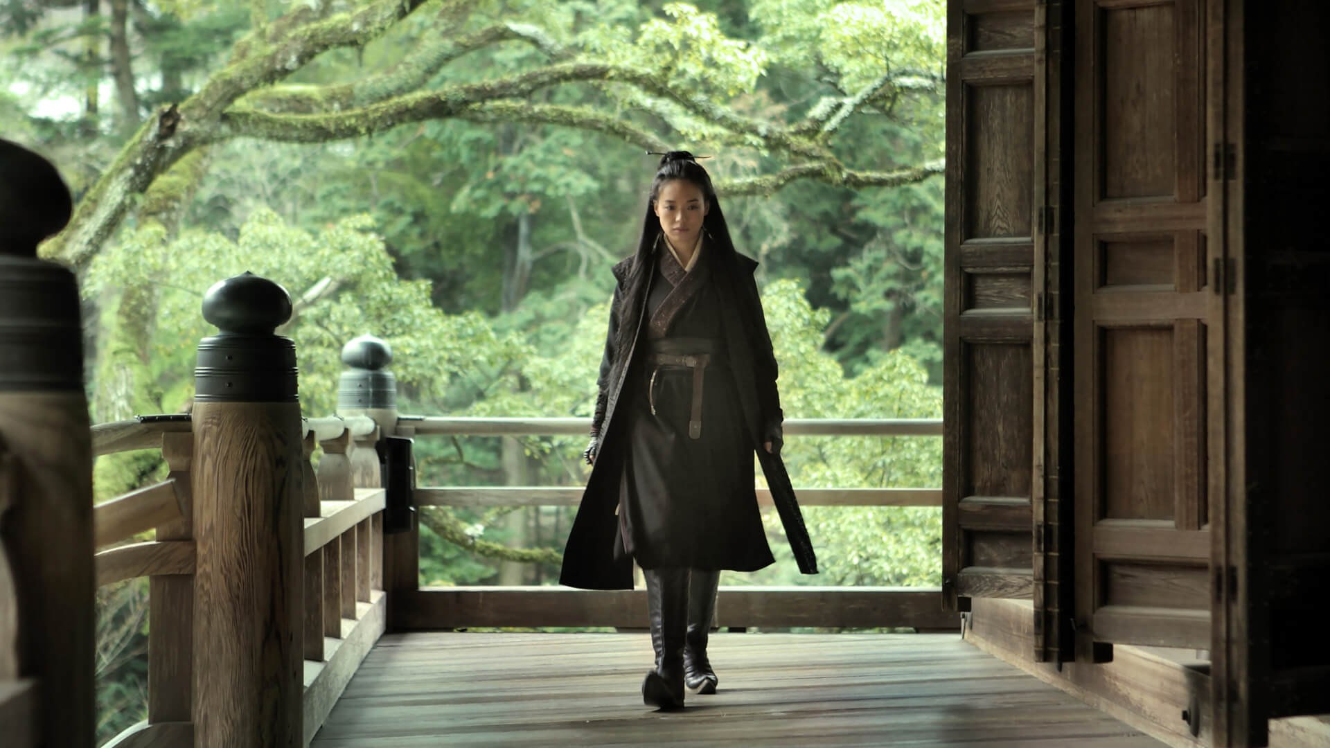 The Assassin