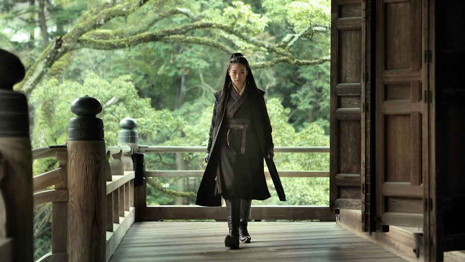 The Assassin