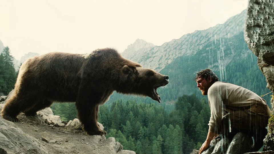 The Bear