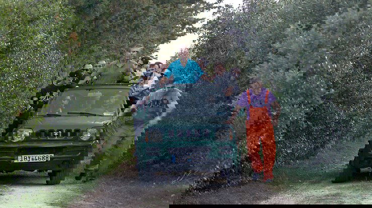 Horses