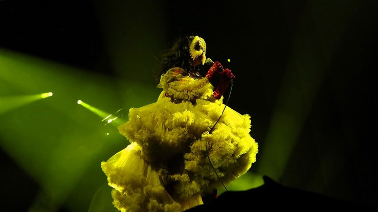 Björk: Cornucopia