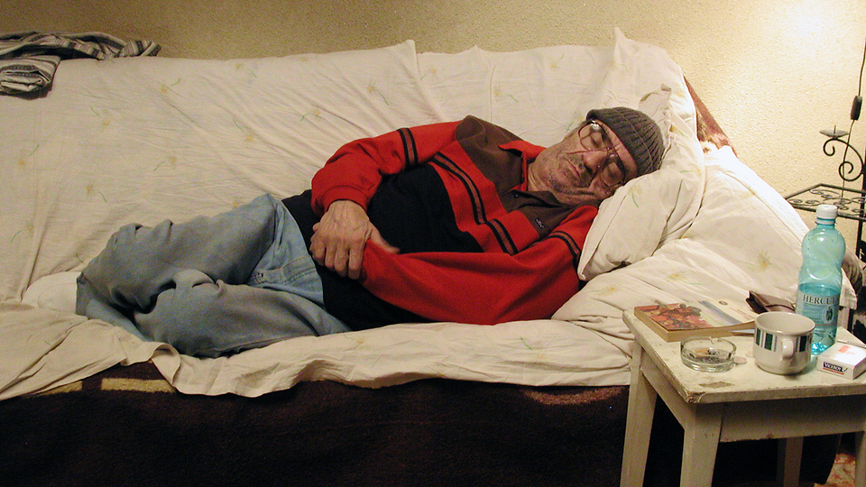 The Death of Mr. Lazarescu