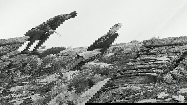 Αναπαράσταση